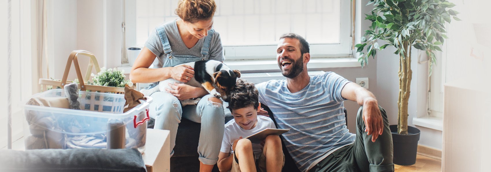 Stop the growth of mould and bacteria indoors