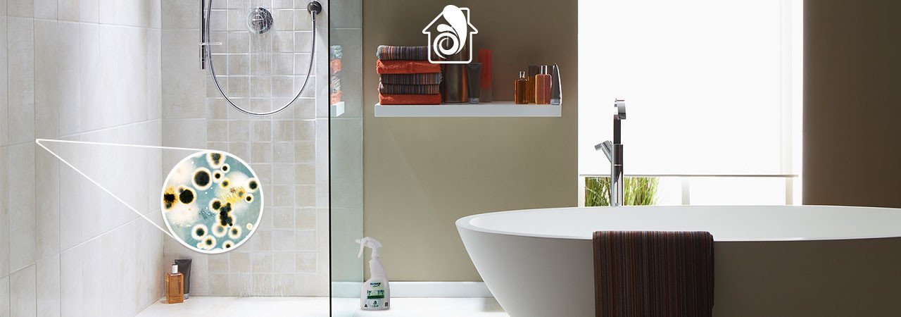 Stop the growth of mould, bacteria & fungi Indoors